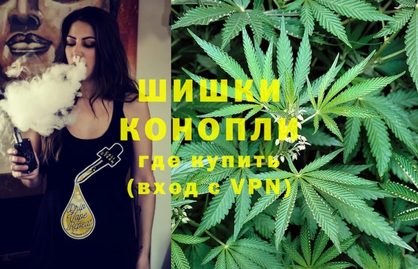 спайс Алексин