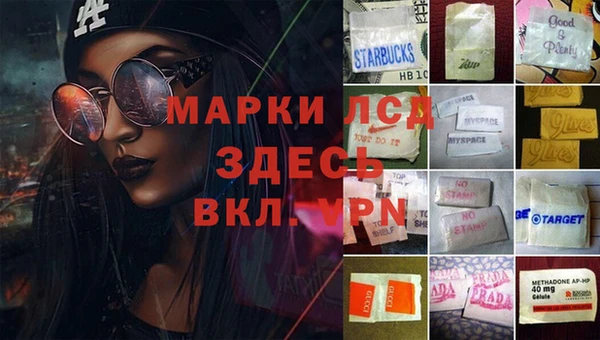 мет Ладушкин