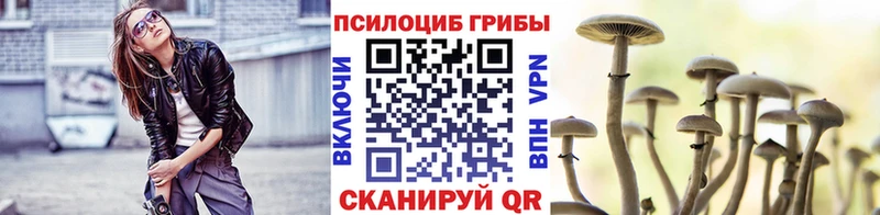 Псилоцибиновые грибы Psilocybine cubensis  как найти закладки  это состав  Домодедово 